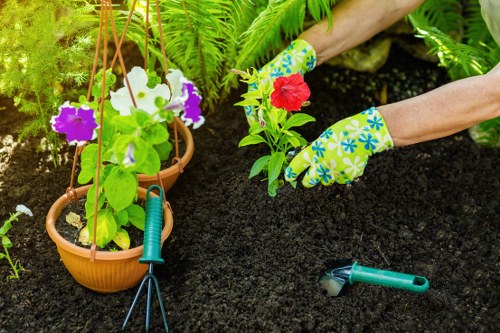In a garden scene, two hands wearing bright, floral-patterned gardening gloves are planting a small red flowering plant into dark, freshly turned soil. To the left, there is a terracotta pot with hanging plant pots containing flowering petunias in white, purple, and pink. A pair of small hand gardening tools, including a cultivator and pruning shears, are placed on the soil nearby. The background features lush green foliage and various ferns, suggesting a well-maintained outdoor space in Hackney, London. The scene captures an active gardening moment, emphasizing planting activities in a vibrant, cultivated garden environment with natural sunlight illuminating the scene, relevant to gardening and outdoor maintenance services offered by Landscapers Hackney.