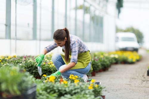 A woman wearing a plaid shirt, blue jeans, and green gardening gloves is crouched down in a garden, tending to a variety of colourful flowering plants in flower beds. She appears to be planting or weeding, with a small hand tool in her right hand. The garden features well-organised flower beds with vibrant yellow, pink, and purple blooms, bordered by a gravel pathway. In the background, there are greenhouses and a parked van, indicating a professional gardening environment, possibly in Hackney or a nearby London postcode. The scene is set during daylight with overcast weather, providing soft, even lighting that highlights the lush greenery and diverse plant life. The overall impression is of a tidy, cared-for outdoor space dedicated to gardening and landscape maintenance, aligning with the services provided by Landscapers Hackney, who specialise in garden design and upkeep in the local area.
