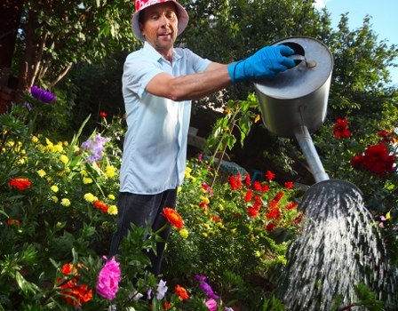 Tools and equipment for garden maintenance