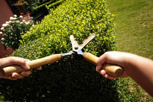 In the image, two hands are shown pruning a well-maintained, dense hedge with small, glossy green leaves in a garden setting. The hedge is situated against a paddock or lawn area with a vibrant, evenly cut grass surface, indicating careful landscaping. Behind the hedge, a lawn extends outward, bordered by other flowering plants and shrubs, some with white blossoms. The environment appears sunny with bright natural lighting, and the scene captures a moment of outdoor gardening activity, typical of professional garden maintenance services in Hackney. The tools used—pruning shears—are grasped firmly, suggesting a precise trimming action aimed at shaping the hedge. This outdoor space features a mix of natural textures with soft grass, leafy foliage, and smooth wooden handles of the pruning tools, fitting within a typical residential or communal garden landscaped by Landscapers Hackney, focusing on healthy, aesthetically pleasing garden elements.