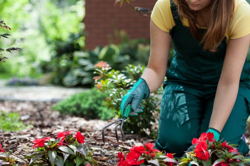 A gardener wearing teal gloves and a yellow t-shirt is kneeling in a well-maintained garden in Hackney, working on a flowerbed with vibrant red and pink flowering plants. The garden features a lush, green lawn area in the foreground, bordered by a variety of plants, shrubs, and flower beds. In the background, there are mature trees, a hedge line, and flowering bushes, creating a layered and landscaped outdoor space. The soil in the flowerbed appears freshly cultivated, with dark, rich earth visible between the plants. Paving stones or gravel can be seen edging the flowerbeds, providing a clean separation from the grass. The garden benefits from natural daylight, indicating a clear, bright weather condition conducive to outdoor gardening activities. This scene reflects typical landscaping and gardening work that a professional team like Landscapers Hackney might undertake, focusing on plant care, bed maintenance, and garden design enhancements to improve outdoor aesthetics and usability in Hackney.