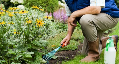 Hackney landscaper working on garden design