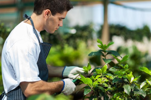 A male gardener wearing a white t-shirt, a blue striped apron, and white gloves is tending to a lush, green flower bed within a greenhouse or well-lit outdoor garden. The garden features a defined flower bed border with rich, dark soil, bordered by healthy green foliage and leafy plants. The background includes blurred greenery and possibly glass or plastic glazing typical of a greenhouse environment, indicating a focus on careful plant care and landscape maintenance. The scene suggests professional gardening services offered by Landscapers Hackney, highlighting horticultural expertise in creating and maintaining vibrant flower beds in outdoor or greenhouse settings, with natural daylight illuminating the scene and emphasizing the vitality of the plants.