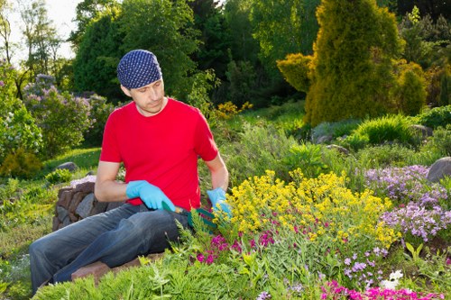 A man wearing a red t-shirt, a blue and white patterned beanie, and blue gardening gloves is seated on the edge of a flower bed, surrounded by a variety of colorful flowering plants and lush green foliage. The garden features neatly arranged flower borders with purple, yellow, and pink blooms, alongside dense green shrubs and taller trees in the background, indicating a well-maintained landscaped outdoor space in Hackney. The scene appears to be set during daylight with natural light illuminating the vibrant garden, suggesting it is a part of a routine lawn care or gardening activity managed by professionals like Landscapers Hackney, contributing to a visually appealing and diverse garden environment in a suburban or urban setting.