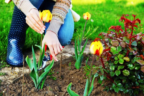 A close-up view of a person planting yellow tulips with red markings into a flower bed in a well-maintained garden. The individual's hands are gently handling the soil around the new plants, with a small garden trowel visible nearby. The garden features a mix of lush green grass, a vibrant red shrub, and dark rich soil in the flower bed section. In the background, there are additional areas of cultivated soil and neatly trimmed lawn, suggesting an outdoor landscaped space typical of a residential or commercial garden in Hackney. Natural daylight illuminates the scene, indicating a clear weather day, suitable for gardening and landscape maintenance in London. The image captures the essence of outdoor gardening services offered by Landscapers Hackney, emphasizing planting and garden care activities that enhance outdoor aesthetics and sustainability.