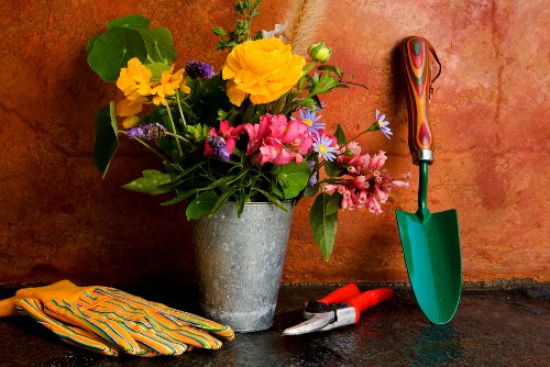 Professional landscaping services in Hackney