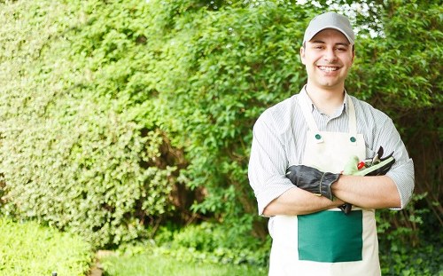 A professional gardener standing outdoors in a backyard garden near Hackney, UK, smiling at the camera. The garden features a neatly maintained lawn with lush green grass in the foreground, bordered by a variety of shrubs and hedges, some of which are trimmed. Behind the gardener, there are taller trees with dense foliage providing a natural background, and a flower bed with natural-toned soil and sparse plantings. The environment is bright and well-lit, suggesting a clear day, with sunlight filtering through the leaves, highlighting the vibrant green colours of the plants. The gardener is dressed in a light grey cap, a striped shirt, and a green apron, holding garden shears and a small gardening tool, indicating active gardening work. This scene exemplifies meticulous outdoor maintenance typical of professional landscaping services in Hackney, London, aligning with gardening and lawn care offerings from Landscapers Hackney, who focus on precise plant care, turf upkeep, and garden enhancement.