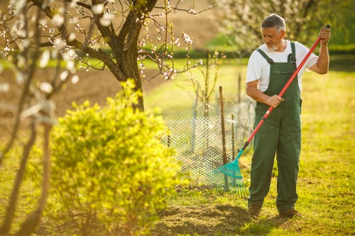 A mature man wearing green gardening overalls and a white t-shirt is standing in a well-maintained front garden, engaging in outdoor maintenance. He is holding a red-handled rake with a teal head, appearing to be gathering fallen leaves or debris from a soil area bordered by a low metal fence. The garden includes a lush, bright yellow-green shrub in the foreground and a flowering tree with light pink blossoms in the background, suggesting early spring. The lawn is neatly trimmed, with patches of healthy grass visible between the soil and paved walkway area. Dappled sunlight filters through the trees, casting soft shadows across the garden landscape, which features a mix of cultivated flower beds, hedges, and open grassy space. This scene exemplifies professional gardening and landscaping services in Hackney, contributing to a vibrant and tidy outdoor environment typical of well-maintained London gardens, aligning with the services described on landscapershackney.co.uk under the gardening category. The overall setting is peaceful, with natural tones and a clear sky reflecting pleasant weather conducive to outdoor work.
